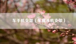 车手机支架（车载手机支架）