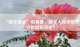 “数字足迹”怕暴露，数字人民币如何守护隐私安全？