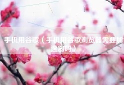 手机用谷歌（手机用谷歌浏览器需要加速器吗）