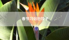 春节习俗包饺子
