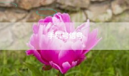 手机号信号