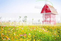 去日本打工真的那么美好吗？被中介骗了，几年后刷新对日本的认知