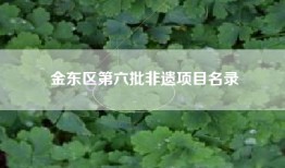 金东区第六批非遗项目名录