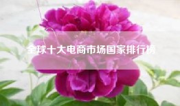 全球十大电商市场国家排行榜