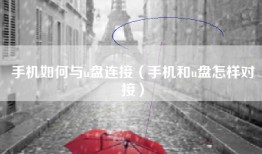 手机如何与u盘连接（手机和u盘怎样对接）