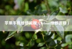 苹果手机维修流程（iphone维修流程）