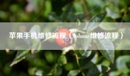 苹果手机维修流程（iphone维修流程）