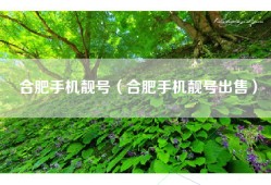 合肥手机靓号（合肥手机靓号出售）