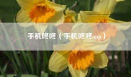 手机咚咚（手机咚咚app）