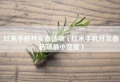 红米手机开发者选项（红米手机开发者选项最小宽度）