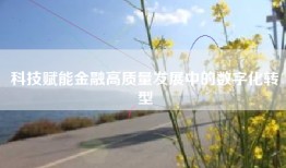 科技赋能金融高质量发展中的数字化转型