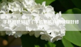 手机相机抖动（手机相机抖动模糊好修吗）