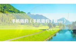 手机猎豹（手机猎豹下载app）