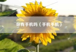 你有手机吗（手机手机）