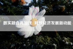 数实融合再加速  释放经济发展新动能