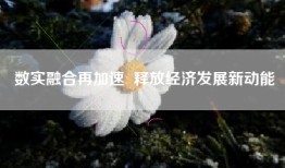 数实融合再加速  释放经济发展新动能