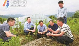 他们奔走在乡村振兴的大道上
