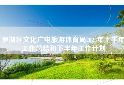 罗湖区文化广电旅游体育局2023年上半年工作总结和下半年工作计划