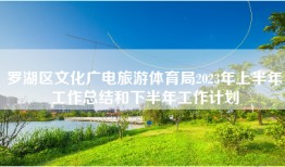 罗湖区文化广电旅游体育局2023年上半年工作总结和下半年工作计划