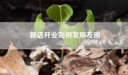 新店开业如何发朋友圈