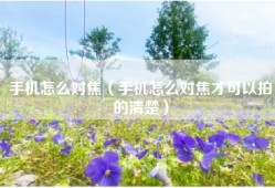 手机怎么对焦（手机怎么对焦才可以拍的清楚）