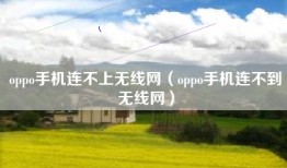 oppo手机连不上无线网（oppo手机连不到无线网）