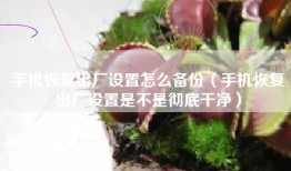 手机恢复出厂设置怎么备份（手机恢复出厂设置是不是彻底干净）