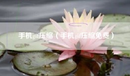 手机gif压缩（手机gif压缩免费）