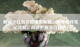 解锁小红书攻略搜索秘籍，精准查找笔记攻略，高效把握流行趋势！