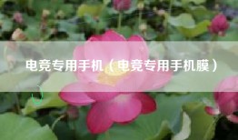 电竞专用手机（电竞专用手机膜）