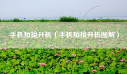 手机短接开机（手机短接开机图解）