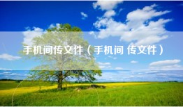手机间传文件（手机间 传文件）