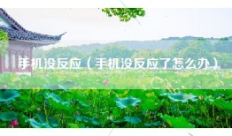 手机没反应（手机没反应了怎么办）