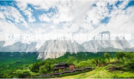 以数字化转型赋能国资国企高质量发展