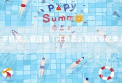 手机怎么查违章（手机怎么查违章记录）