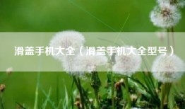 滑盖手机大全（滑盖手机大全型号）