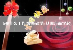 it是什么工作(零基础学it从哪方面学起)