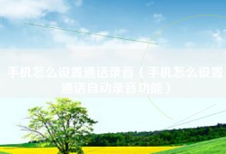 手机怎么设置通话录音（手机怎么设置通话自动录音功能）