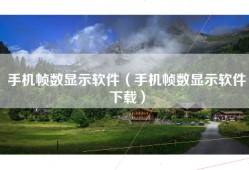 手机帧数显示软件（手机帧数显示软件下载）