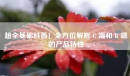 超全基础科普！全方位解析 C 端和 B 端的产品特性