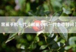 黑鲨手机一代（黑鲨手机一代上市时间）