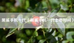 黑鲨手机一代（黑鲨手机一代上市时间）