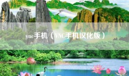 vnc手机（VNC手机汉化版）