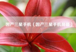 国产三星手机（国产三星手机屏幕）