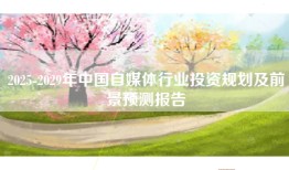 2025-2029年中国自媒体行业投资规划及前景预测报告