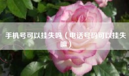 手机号可以挂失吗（电话号码可以挂失嘛）