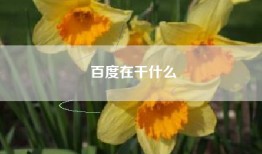 百度在干什么