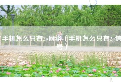 手机怎么只有2g网络（手机怎么只有2g信号）