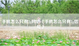 手机怎么只有2g网络（手机怎么只有2g信号）