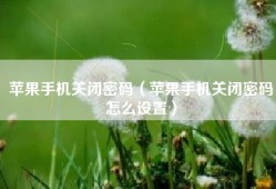 苹果手机关闭密码（苹果手机关闭密码怎么设置）